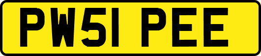 PW51PEE