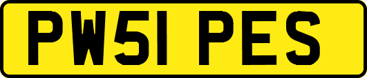 PW51PES