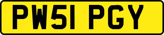 PW51PGY