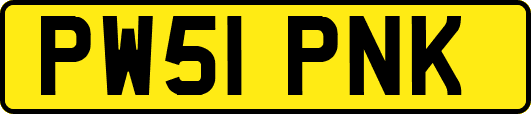 PW51PNK