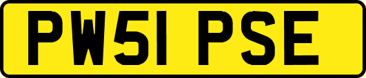 PW51PSE