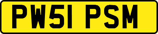 PW51PSM
