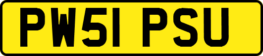 PW51PSU