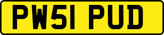 PW51PUD