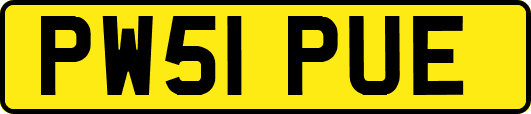 PW51PUE