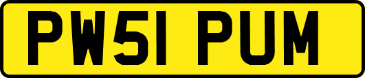 PW51PUM