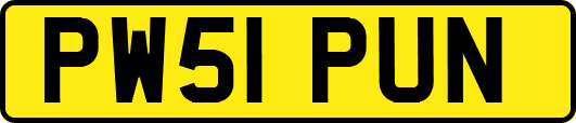 PW51PUN