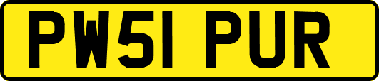 PW51PUR