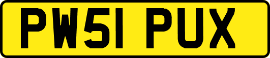 PW51PUX