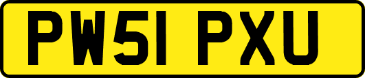 PW51PXU