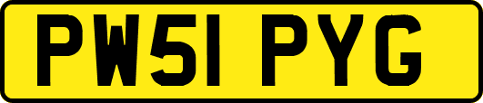 PW51PYG