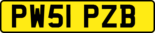 PW51PZB
