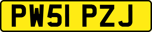 PW51PZJ