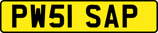 PW51SAP