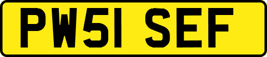 PW51SEF
