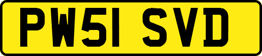 PW51SVD