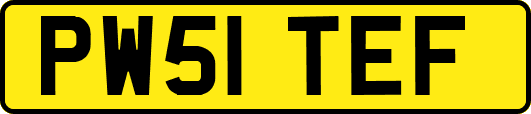 PW51TEF