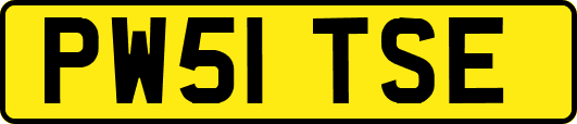 PW51TSE