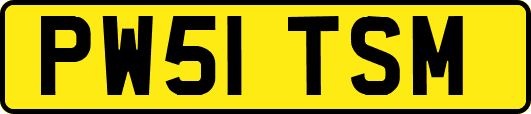 PW51TSM