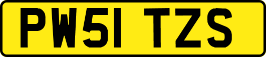 PW51TZS