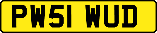 PW51WUD