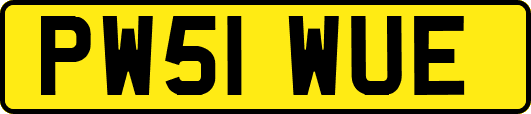 PW51WUE