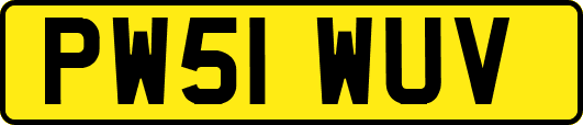 PW51WUV
