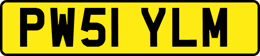 PW51YLM