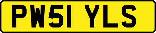 PW51YLS