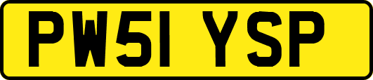 PW51YSP