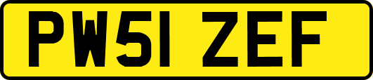 PW51ZEF
