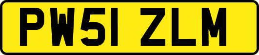 PW51ZLM