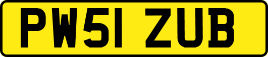 PW51ZUB
