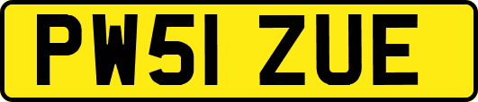 PW51ZUE