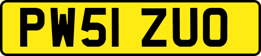 PW51ZUO