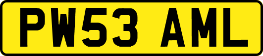 PW53AML
