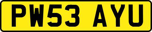 PW53AYU