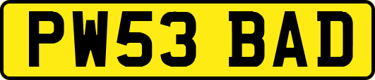 PW53BAD