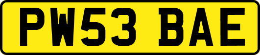 PW53BAE
