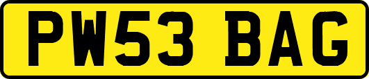 PW53BAG