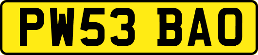 PW53BAO