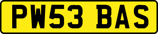 PW53BAS
