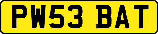 PW53BAT