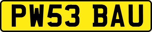 PW53BAU