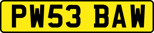PW53BAW