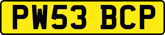 PW53BCP