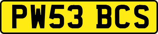 PW53BCS