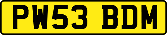 PW53BDM