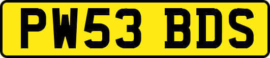 PW53BDS