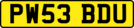 PW53BDU